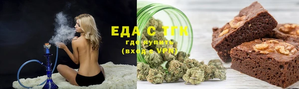 твердый Гусев