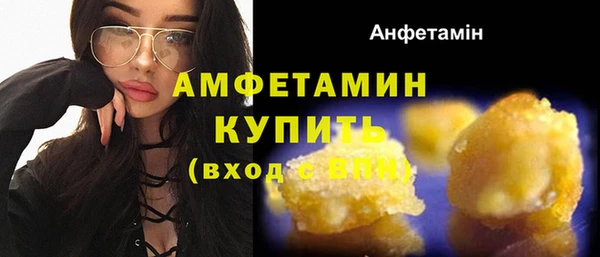 ПСИЛОЦИБИНОВЫЕ ГРИБЫ Горно-Алтайск