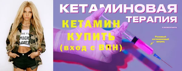 мет Дмитров