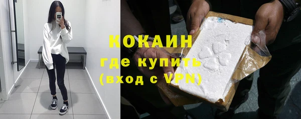 твердый Гусев