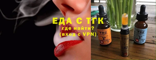 твердый Гусев