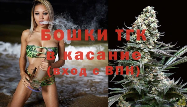 твердый Гусев