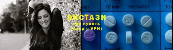 твердый Гусев
