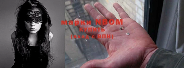 твердый Гусев