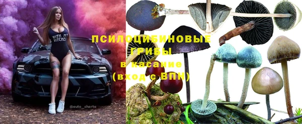 марихуана Гусиноозёрск