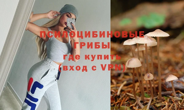 бошки Дмитровск