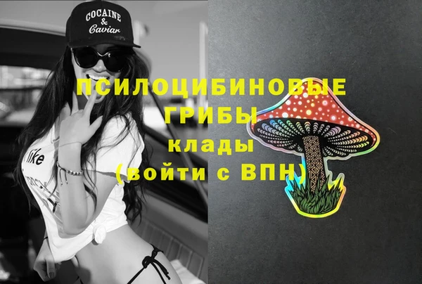 марихуана Гусиноозёрск