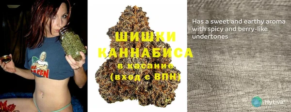PSILOCYBIN Дмитриев