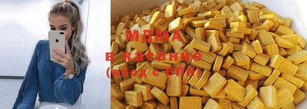 твердый Гусев